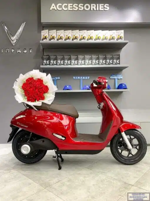 xe-may-dien-evo-200-mau-do_vinfastsaigon