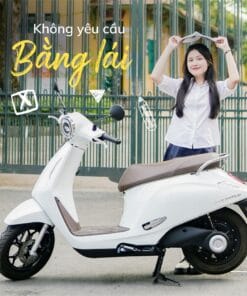 xe vinfast evo 200 lite không cần bằng lái