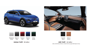 mau-xe-vinfast-vf6-bang-mau-xe-vinfast-vf6-cap-nhat-chinh-hang-9mnSfD