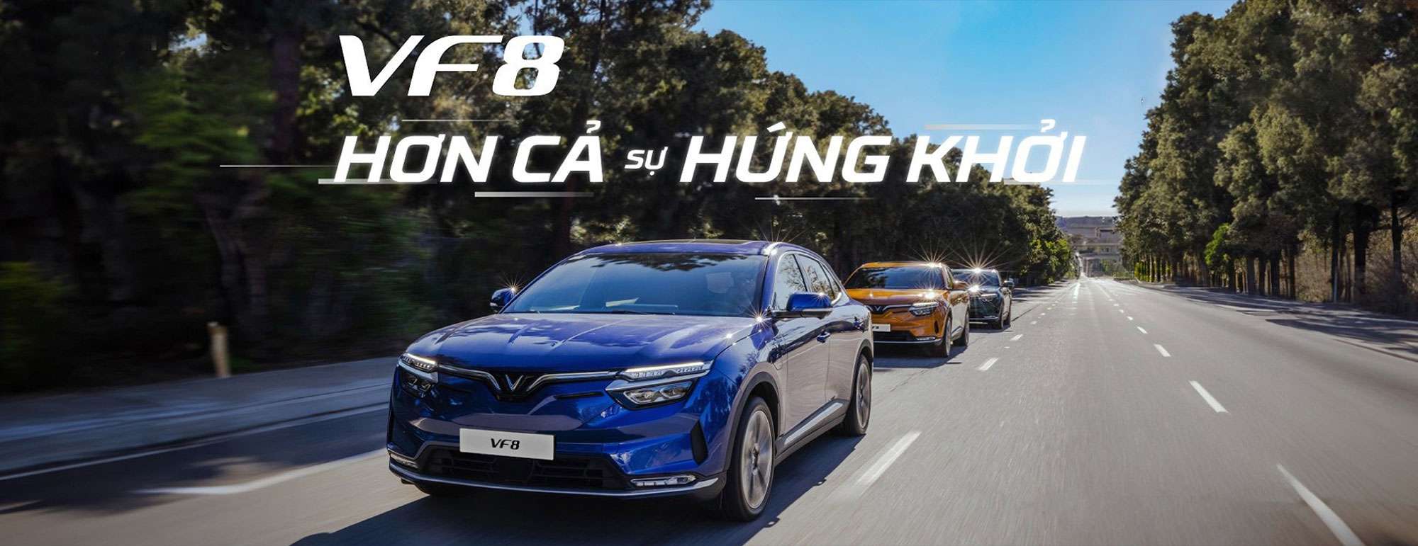 VinFast VF 8 Bình Dương - Đại lý chính hãng tại tỉnh