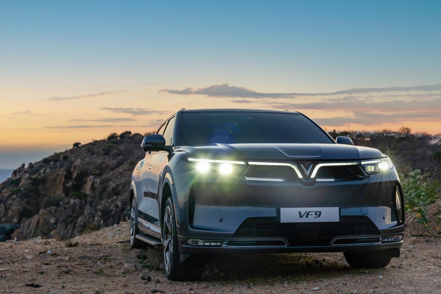 Kết nối với cộng đồng và phản hồi từ người tiêu dùng